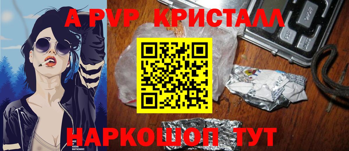 Альфа ПВП СК КРИС Карачаевск