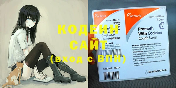 шишки Кинешма