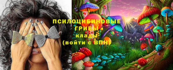прущий лед Каменка