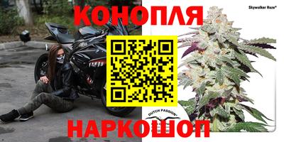 PSILOCYBIN Волжск