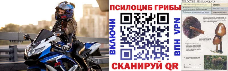 Галлюциногенные грибы прущие грибы mega онион Карачаевск